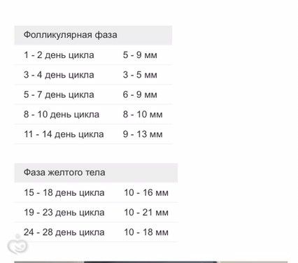 Эндометрий на 20 день цикла норма 164