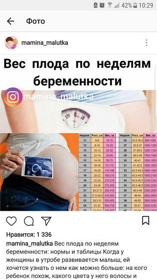 Опережает малыш по неделям Опережает малыш по неделям
