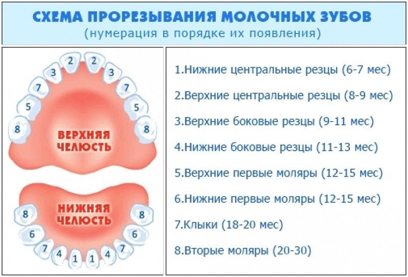 Что эффективное от прорезывания зубов у младенцев Что эффективное от прорезывания зубов у младенцев