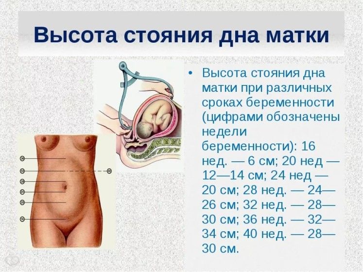 Вес где находится Вес где находится