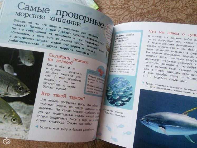 Наши новые энциклопедии