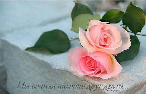 Ну вот и 6 месяцев...