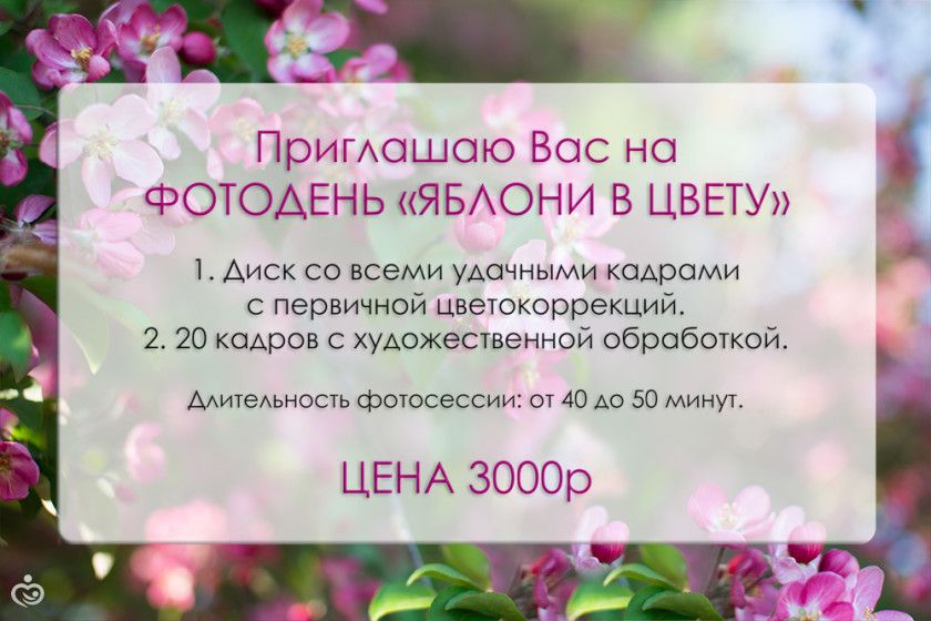 ФотоДень &quot;Яблони в цвету&quot; г. Новосибирск
