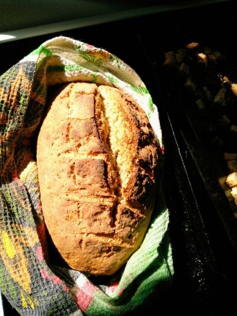 закваска и хлеб