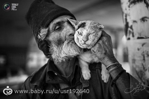 Мастер и кот