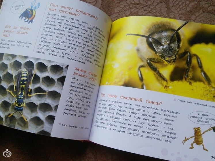 Наши новые энциклопедии
