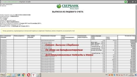 Отчет по сбору на дельфинотерапию для Безрукавниковых Надежды и Ивана