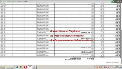 Отчет по сбору на дельфинотерапию для Безрукавниковых Надежды и Ивана