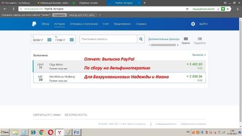 Отчет по сбору на дельфинотерапию для Безрукавниковых Надежды и Ивана