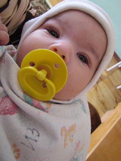 двойной день аиста