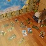 ТЗ "Птицевод"