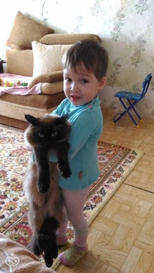 немного нас)