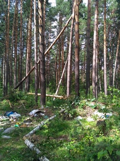 Воруют лес. Красноярск. Плодово-Ягодная