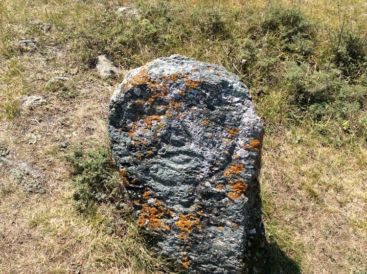 Наше автомобильное путешествие в Горный Алтай. Много фото и текста.