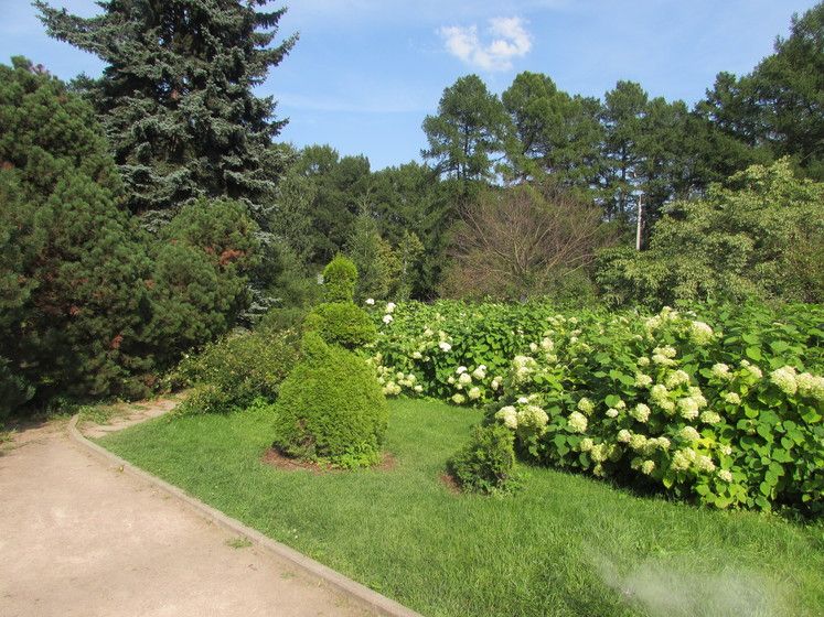 ДР в парке Сокольники. Ч.3. Большой розарий