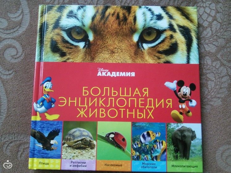 Наши новые энциклопедии