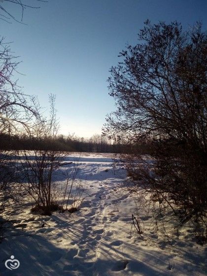 Жизнь в деревне ...