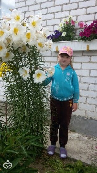 Давайте знакомиться))))