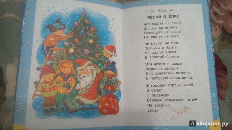 ПЕСНЯ ШИШКИ ЕЛКИ ЗЕЛЕНЫЕ ИГОЛКИ СКАЧАТЬ БЕСПЛАТНО ПЕСНЯ ШИШКИ ЕЛКИ ЗЕЛЕНЫЕ ИГОЛКИ СКАЧАТЬ БЕСПЛАТНО