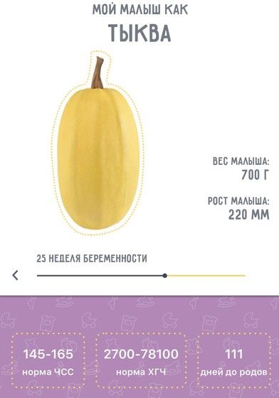 Идёт 25 неделя!