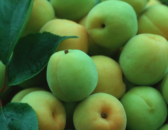 Варенье из зеленых абрикосов