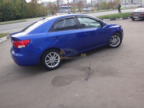 Отзыв о компании АвтоПодбор.рф (много букв, история нашего Киши)