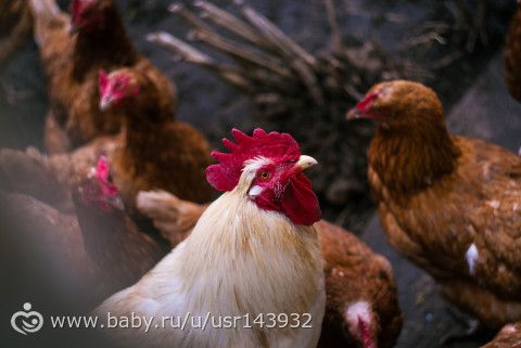 С Праздником и мегамного фото
