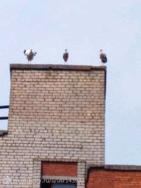 Поздравили