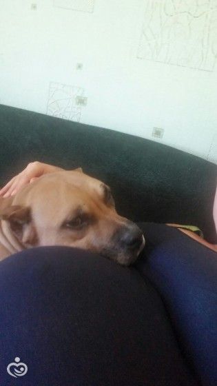 Вот и подходит к концу наша беременность =) От и До. Много текста.