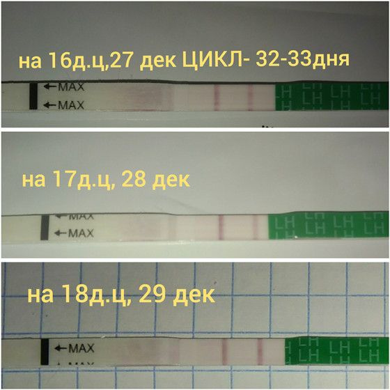 очень а бледная тестовая Контрольная полоска яркая очень а бледная тестовая Контрольная полоска яркая