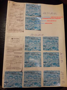 Отчет о прохождении курса дельфинотерапии: Безрукавникова Надежда и Безрукавников Иван. Отчет о прохождении курса дельфинотерапии: Безрукавникова Надежда и Безрукавников Иван.