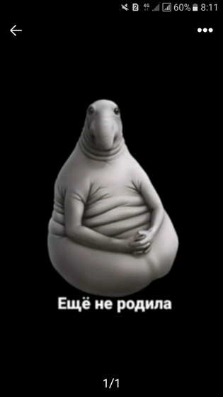 Открытка еще не родила, верблюдом