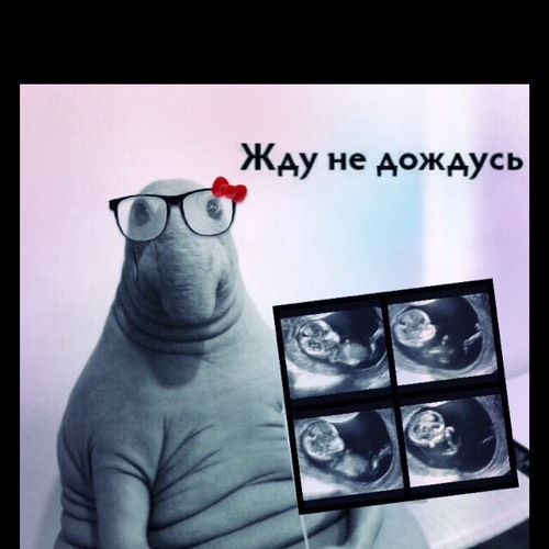 Картинки жду не дождусь, мамой